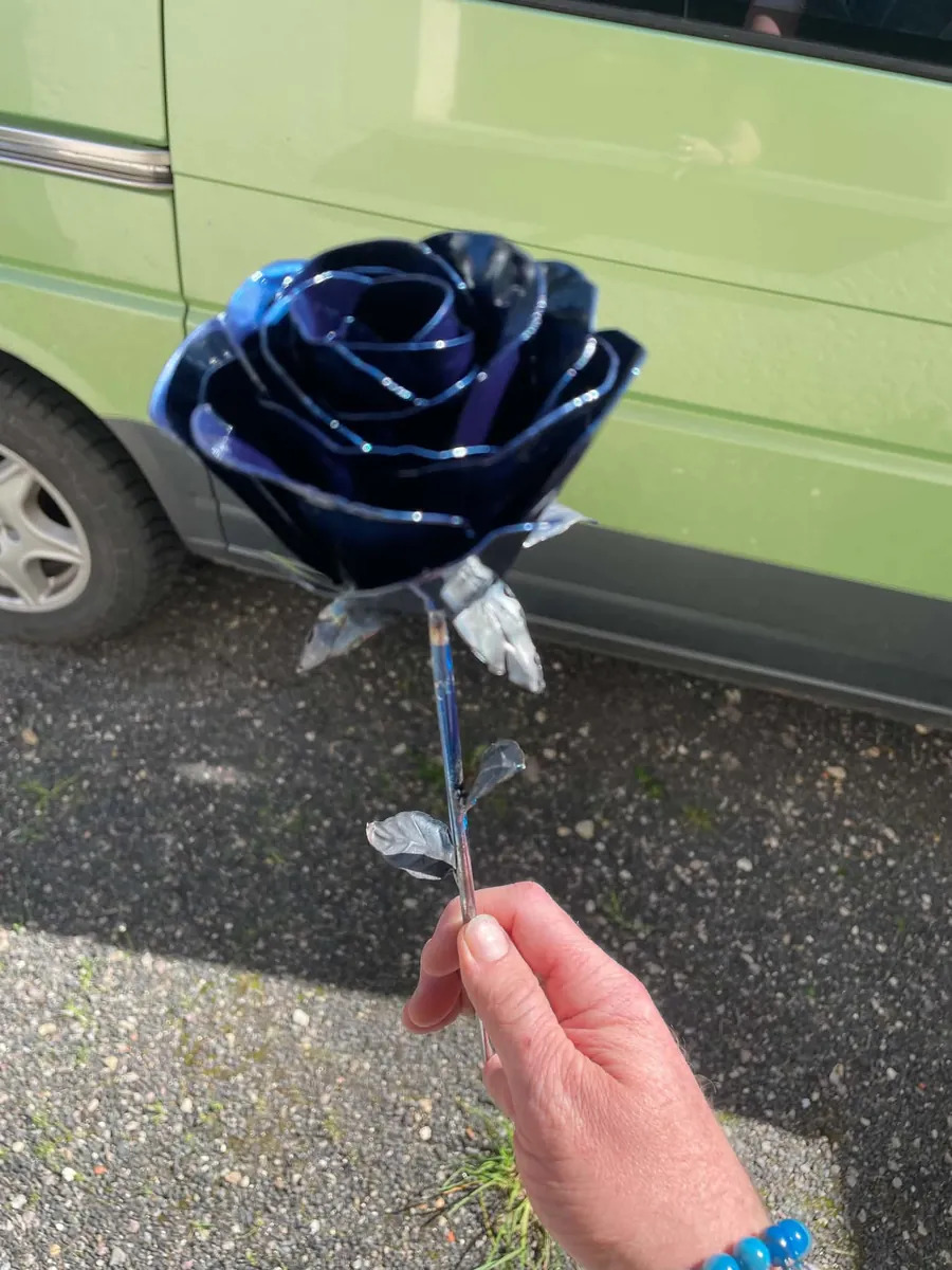 Rose d'acier, photo 7
