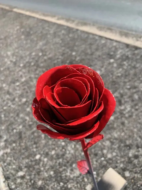 Rose d'acier, photo 6